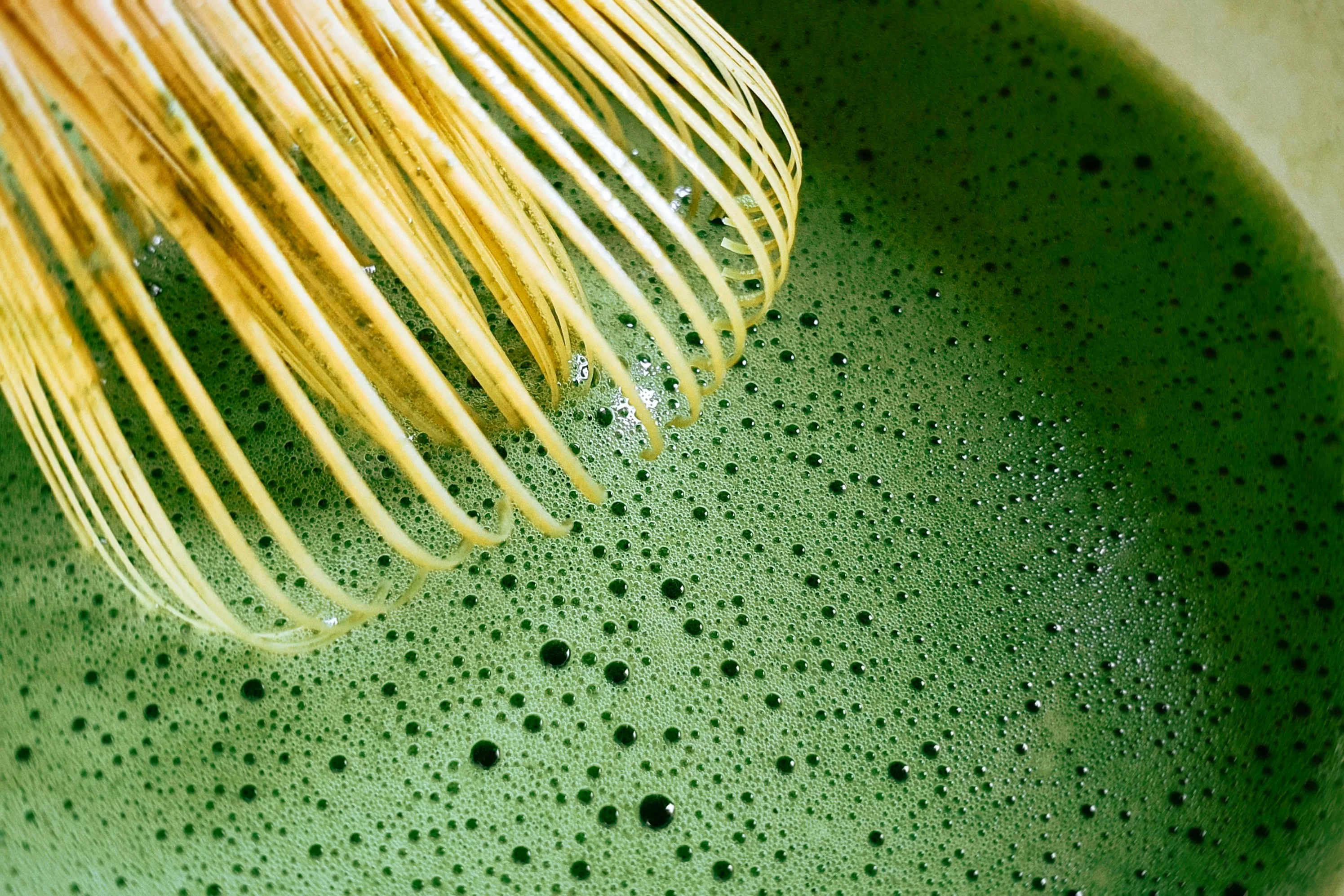 Matcha mayorista para negocios en Chile
