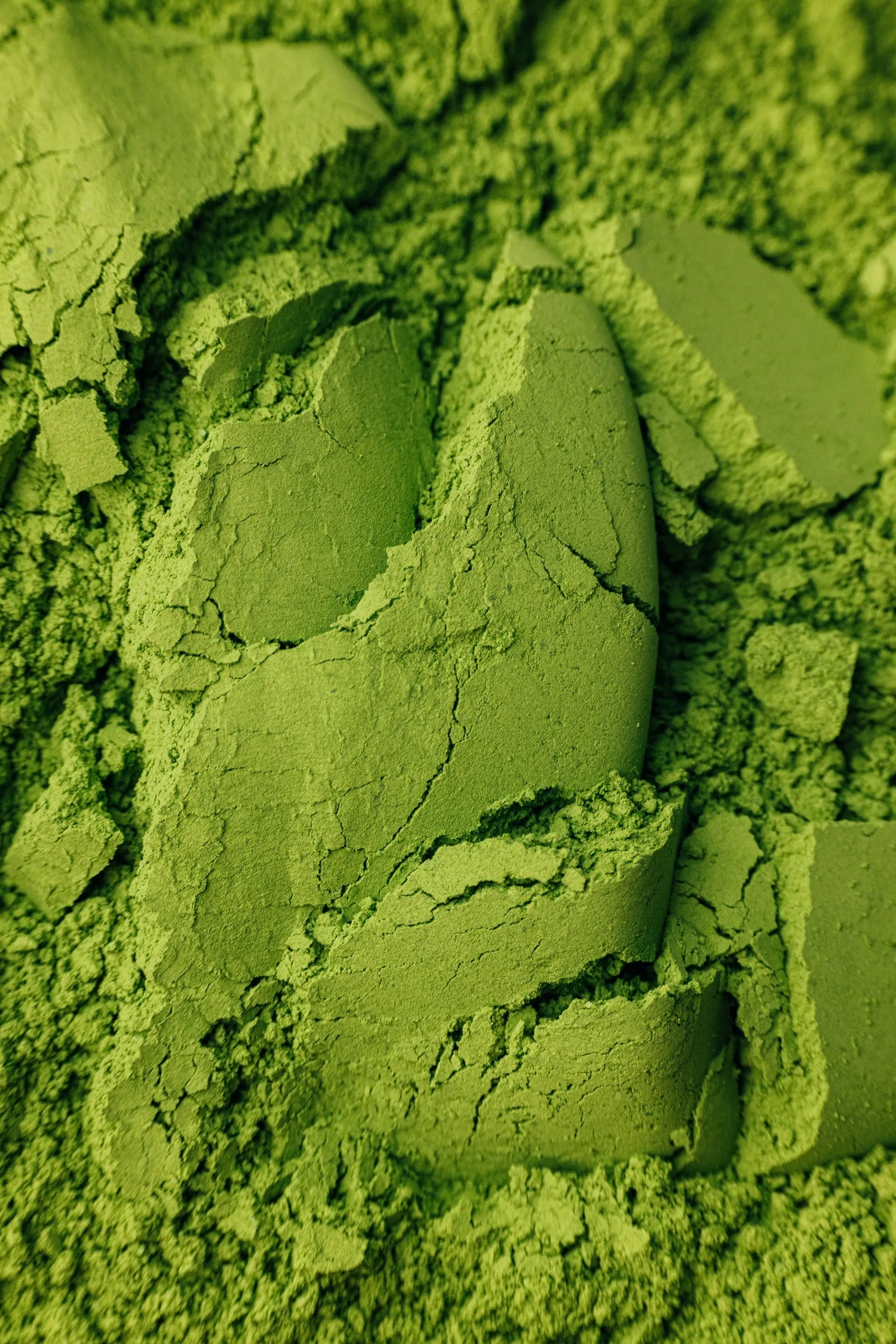 Matcha en polvo orgánico
